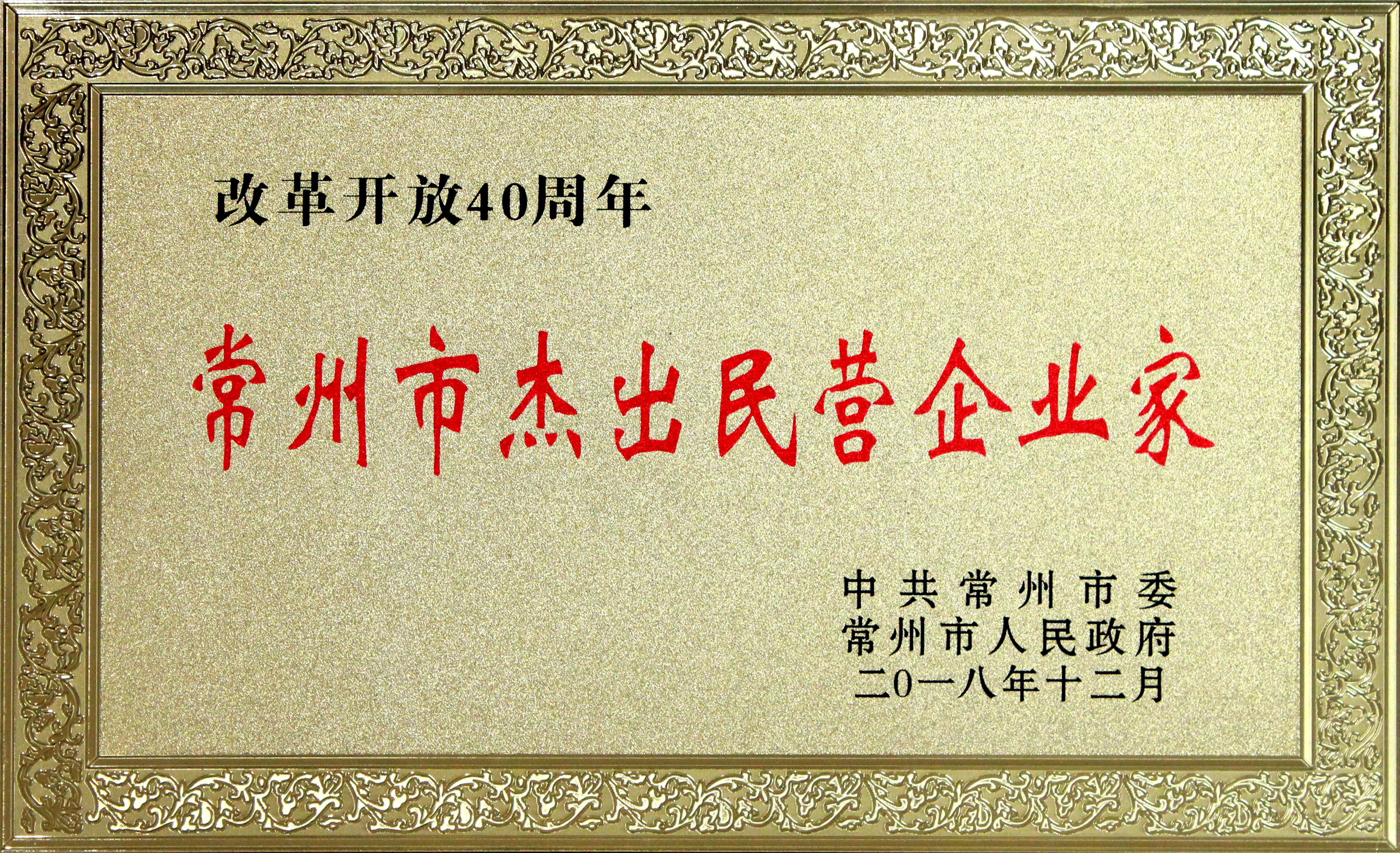 丁山华董事长获评革新开放40周年“常州市杰出民营企业家”