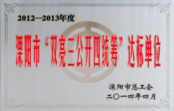 壹定发集团被评为“溧阳市‘双亮三果真四统筹’达标单位”