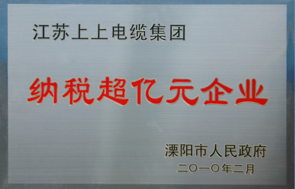 壹定发荣获“2009年度十大纳税大户”与“纳税超亿元企业”荣誉称呼