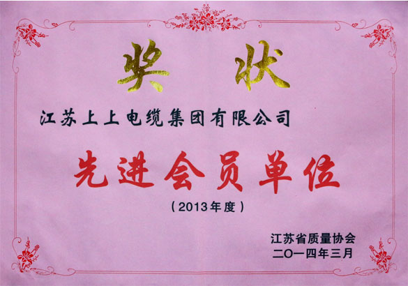 壹定发集团荣获江苏省质量协会2013年度“先进会员单位”称呼