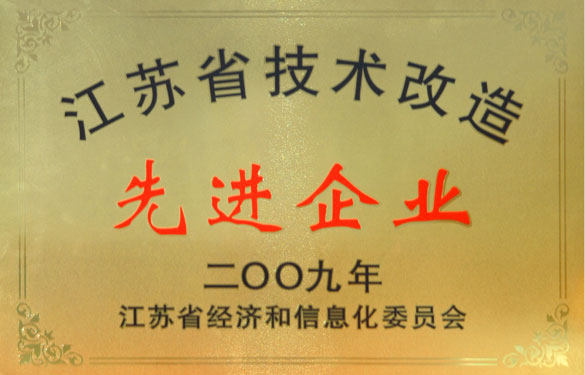 壹定发获“2009年江苏省技术革新先进企业”称呼