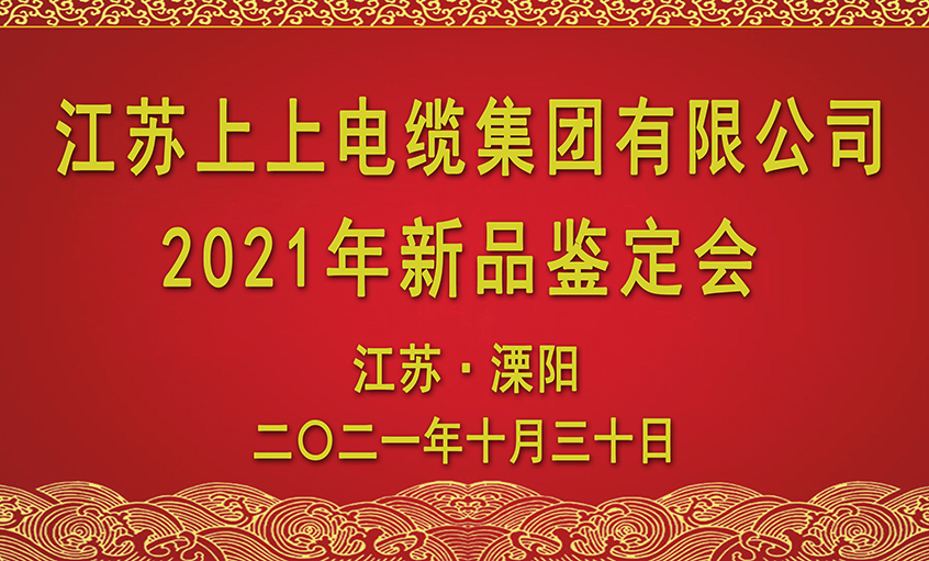 壹定发电缆十三项新品通过省级鉴定