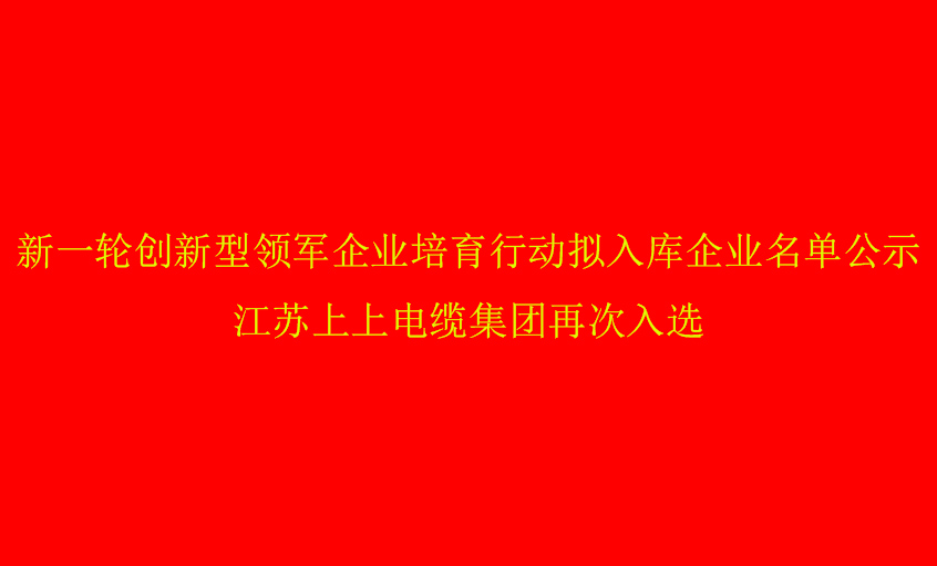 壹定发电缆再次入选省立异型领军企业培育名单