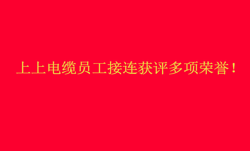 壹定发电缆员工接连获评多项荣誉