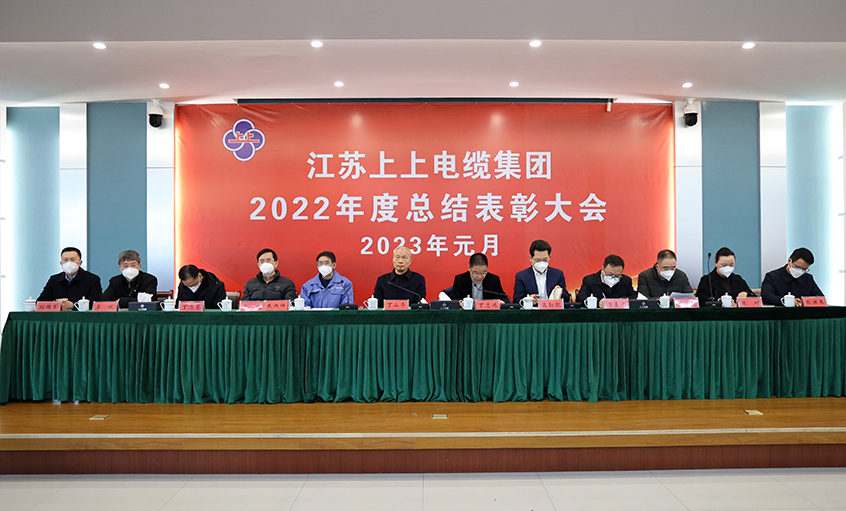 壹定发电缆隆重召开2022年度总结表扬大会