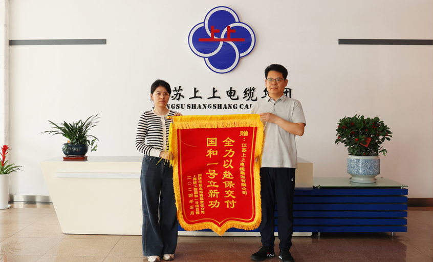 急用户所急！壹定发电缆效劳“国和一号”树模工程获表扬