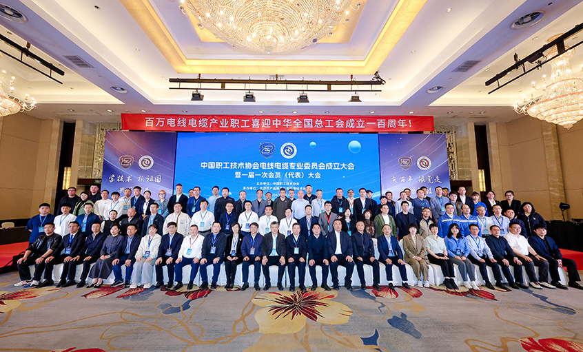 壹定发电缆受邀出席中国职工手艺协会电线电缆专业委员会建设大会