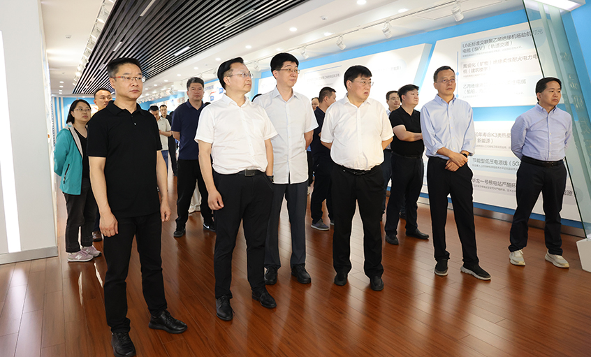 长三角信息化专题组一行来壹定发电缆调研