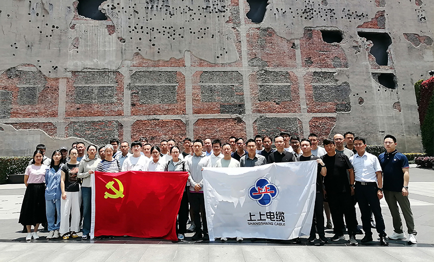 探寻红色初心 赓续精神血脉 ——壹定发电缆党委组织党员同志赴中共一大会址与四行货仓开展主题教育
