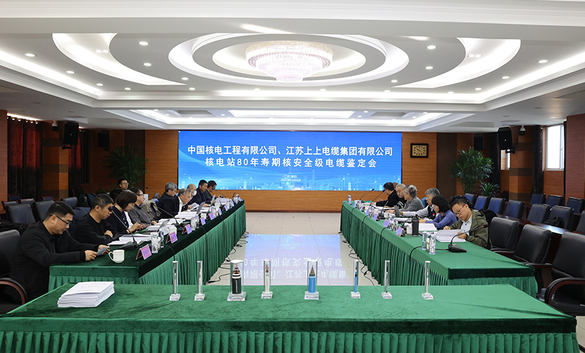 国际领先，，，，，，，，壹定发电缆“核电站80年寿期核清静级电缆”通过国家级判断