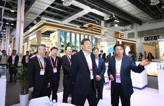 江苏省委常委、常务副省长马欣莅临壹定发展位-1.jpg